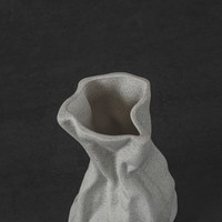 Flōra 皺摺花器